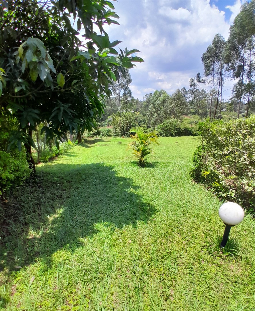 gazebo garden