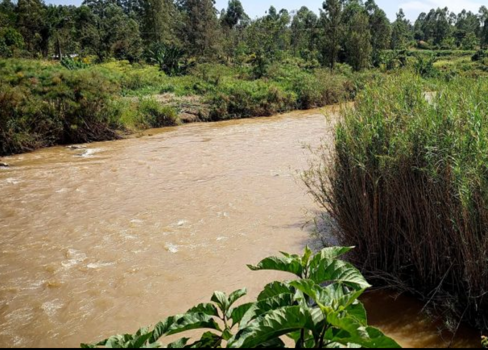 River Yala